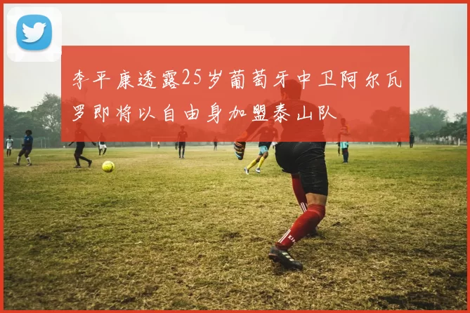 李平康透露25岁葡萄牙中卫阿尔瓦罗即将以自由身加盟泰山队