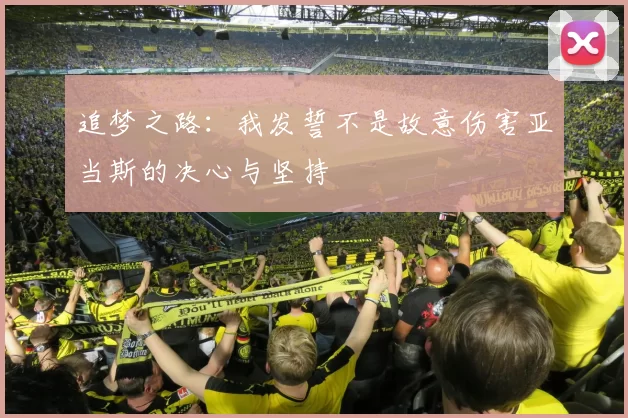追梦之路：我发誓不是故意伤害亚当斯的决心与坚持
