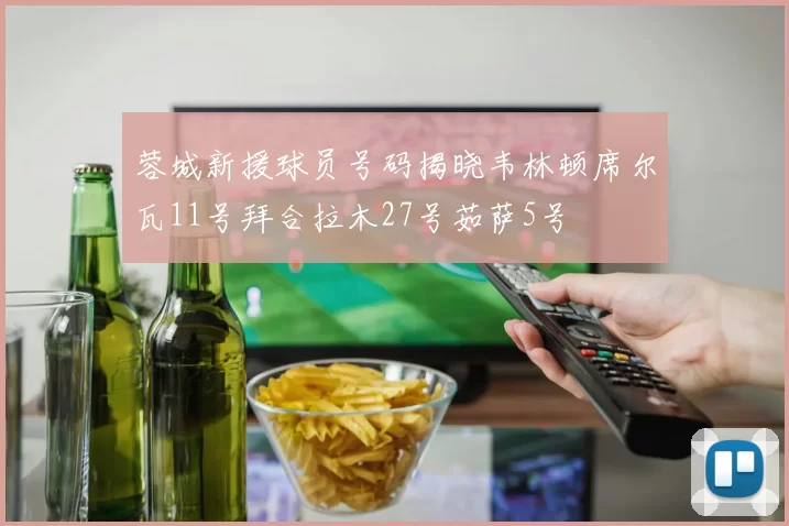 蓉城新援球员号码揭晓韦林顿席尔瓦11号拜合拉木27号茹萨5号